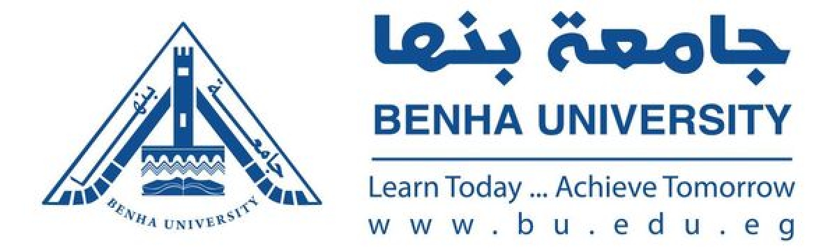 جامعة بنهــا تفوز بتمويل 32 مشروعا في مجال الأمن السبراني